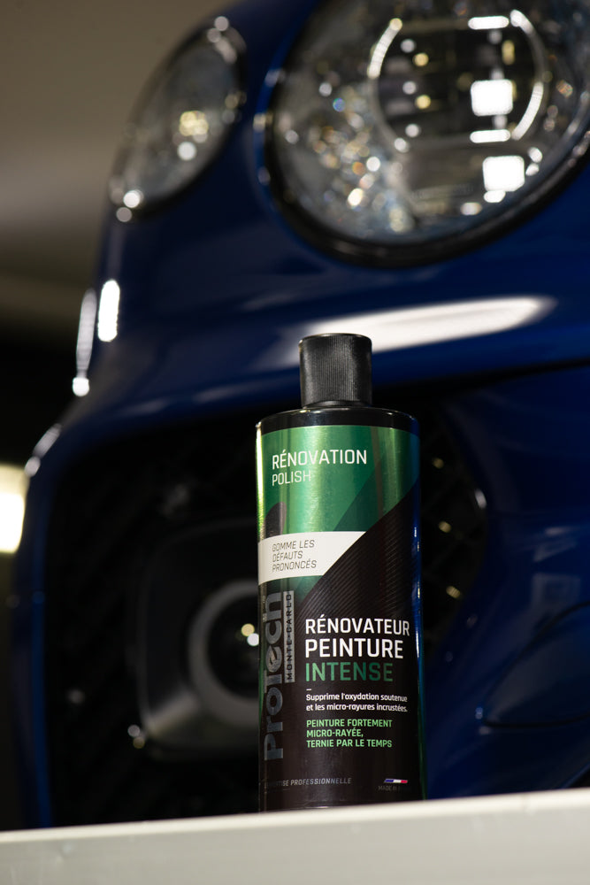 Rénovateur peinture intense ProTech® Monte-Carlo 500 mL
